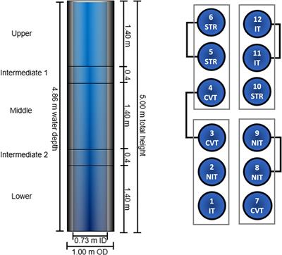 Using convective mixing in mesocosms to study climate-driven shifts in phytoplankton community distributions